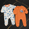 Dinosaur Pair Overall